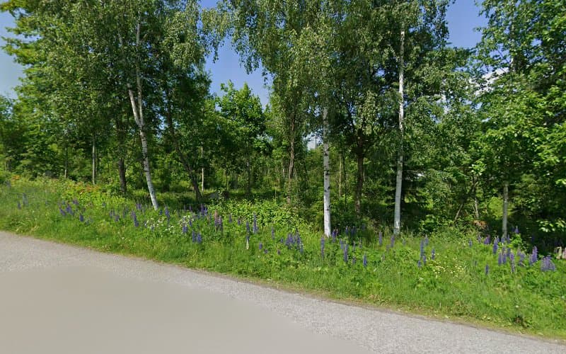 Bastukungenin Sauna — kuva