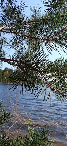Saimaan Saunaseura — kuva